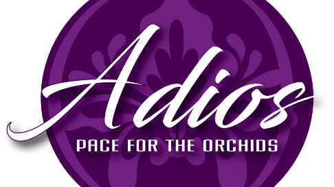 The History of Adios