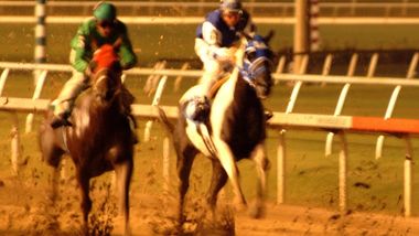 2 horses racing along the rail
