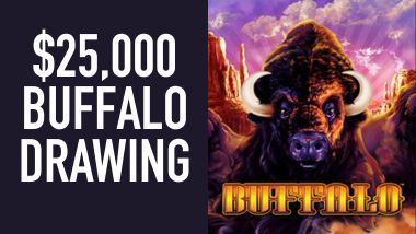 buffalo drawing