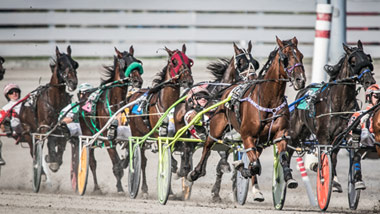 group of harness racers on the track